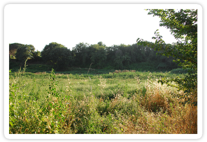 Foto territorio della Sabina